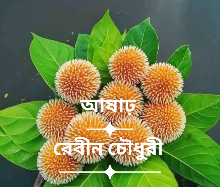 কবি রেবীন চৌধুরী এর লিখা কবিতা “আষাঢ় “